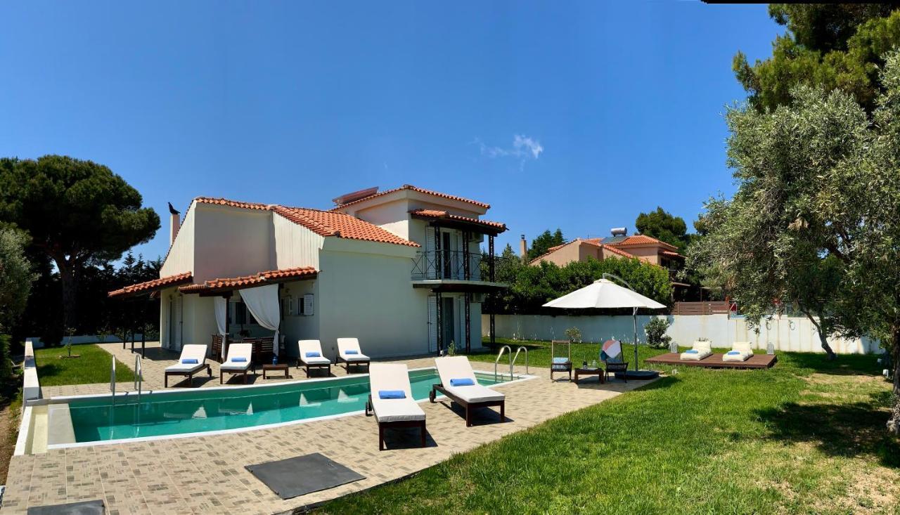 Villa Azure Katsaros  Εξωτερικό φωτογραφία